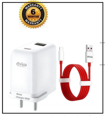 vista 80 WATT charger