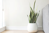 Home Accessories